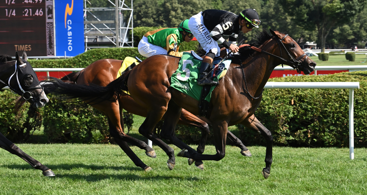 Sacred Goddess ready for $150K Joseph A. Gimma