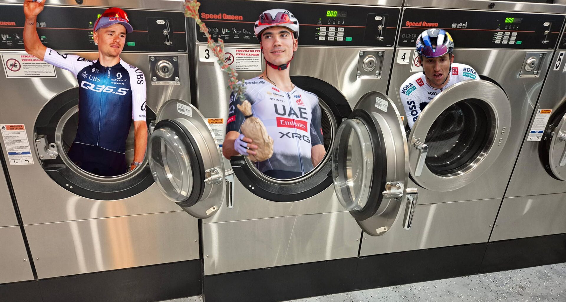 Spin Cycle: Olive you my bro
