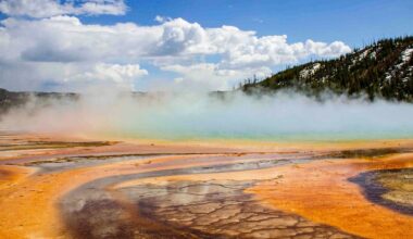 These Newly Discovered Cells Breathe in Two Ways