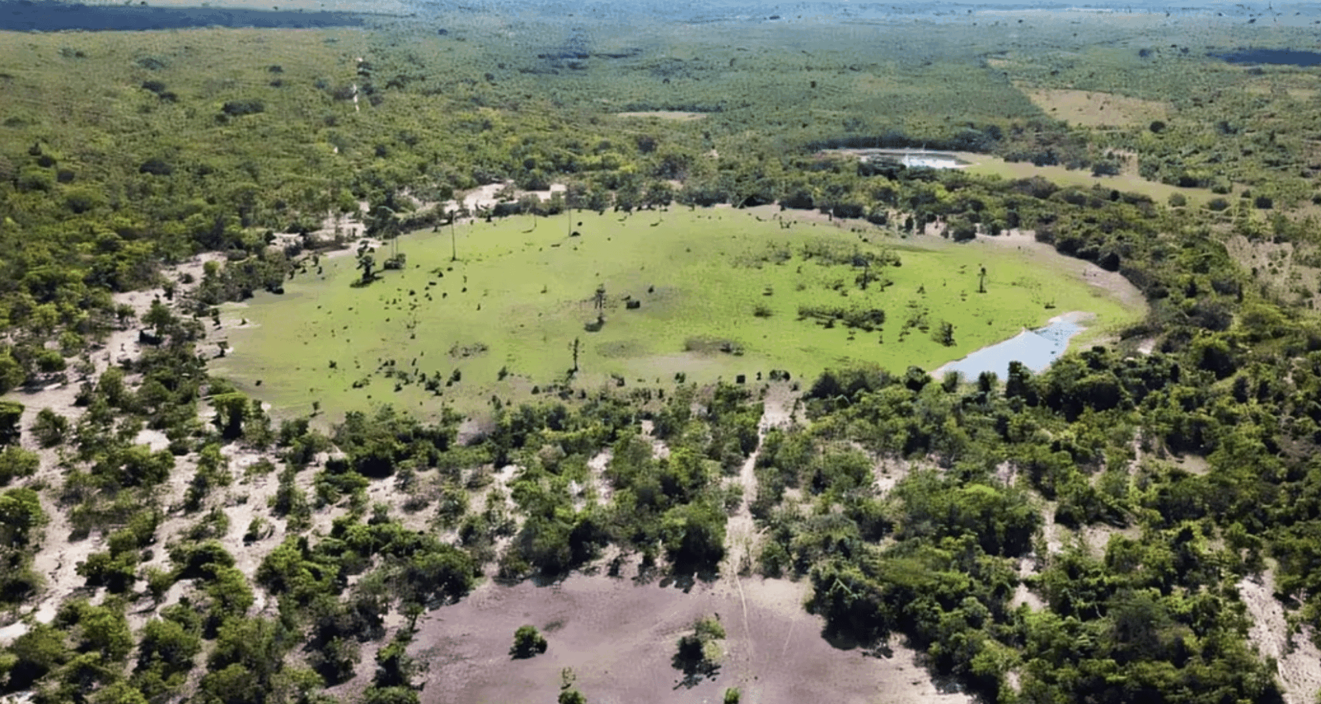 Scientists Stunned As Fairy Circles Expose Massive Hidden Hydrogen Reservoirs Underground