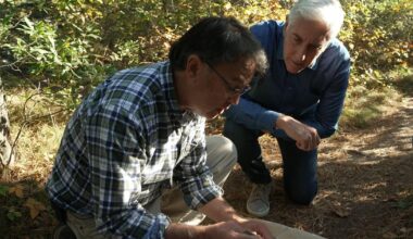 Scientists focus on genetically engineering mice to cut Lyme disease transmission