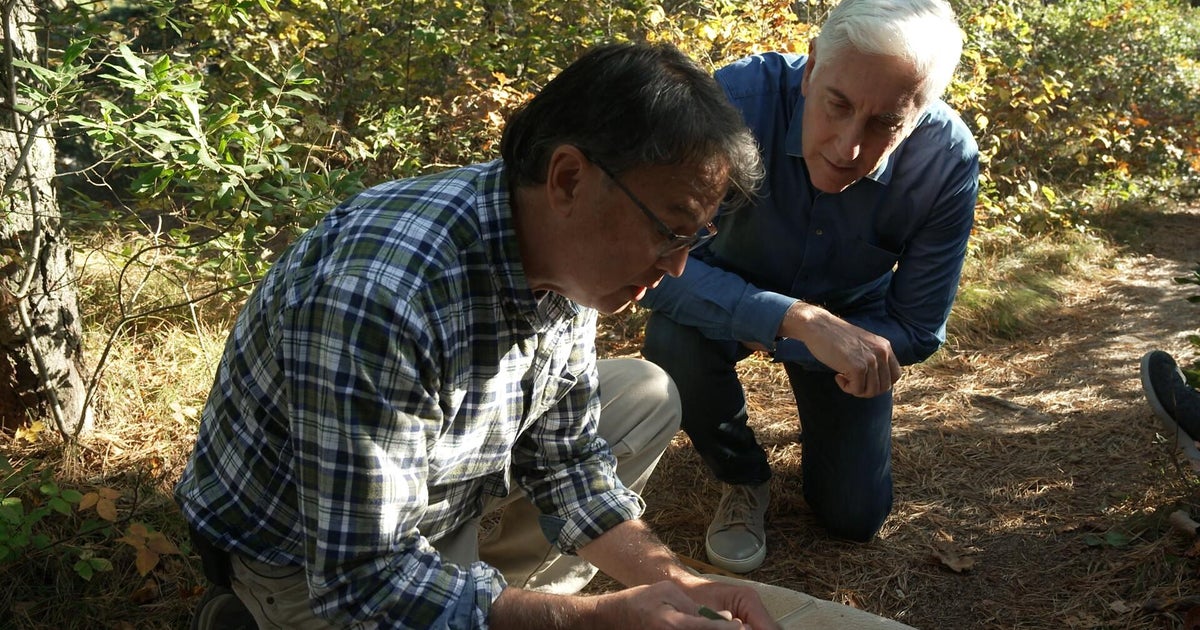 Scientists focus on genetically engineering mice to cut Lyme disease transmission