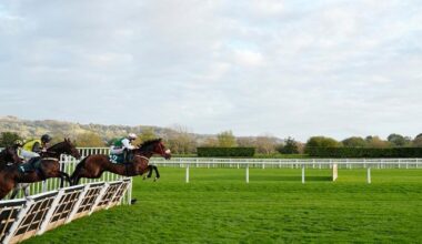 The Showcase 2025 at Cheltenham Racecourse, tickets, race times, dates, event details