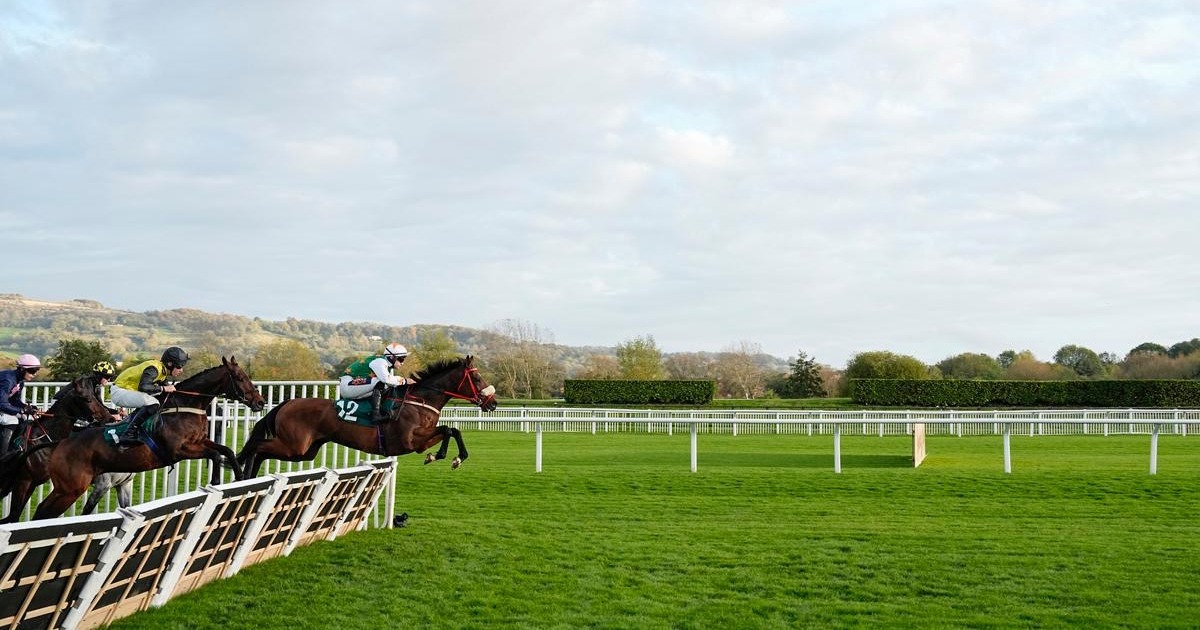 The Showcase 2025 at Cheltenham Racecourse, tickets, race times, dates, event details