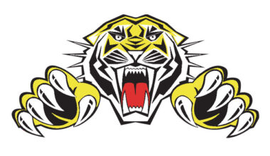 SHEFFIELD SPEEDWAY UP FOR SALE