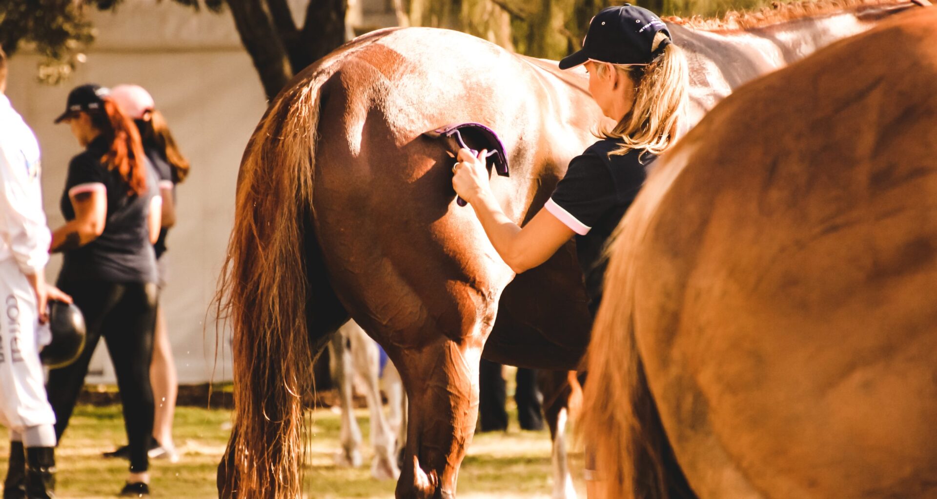 Judge Approves $490K Settlement In Horse Groomer's Labor Suit vs. Bob Baffert Racing