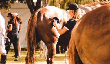 Judge Approves $490K Settlement In Horse Groomer's Labor Suit vs. Bob Baffert Racing