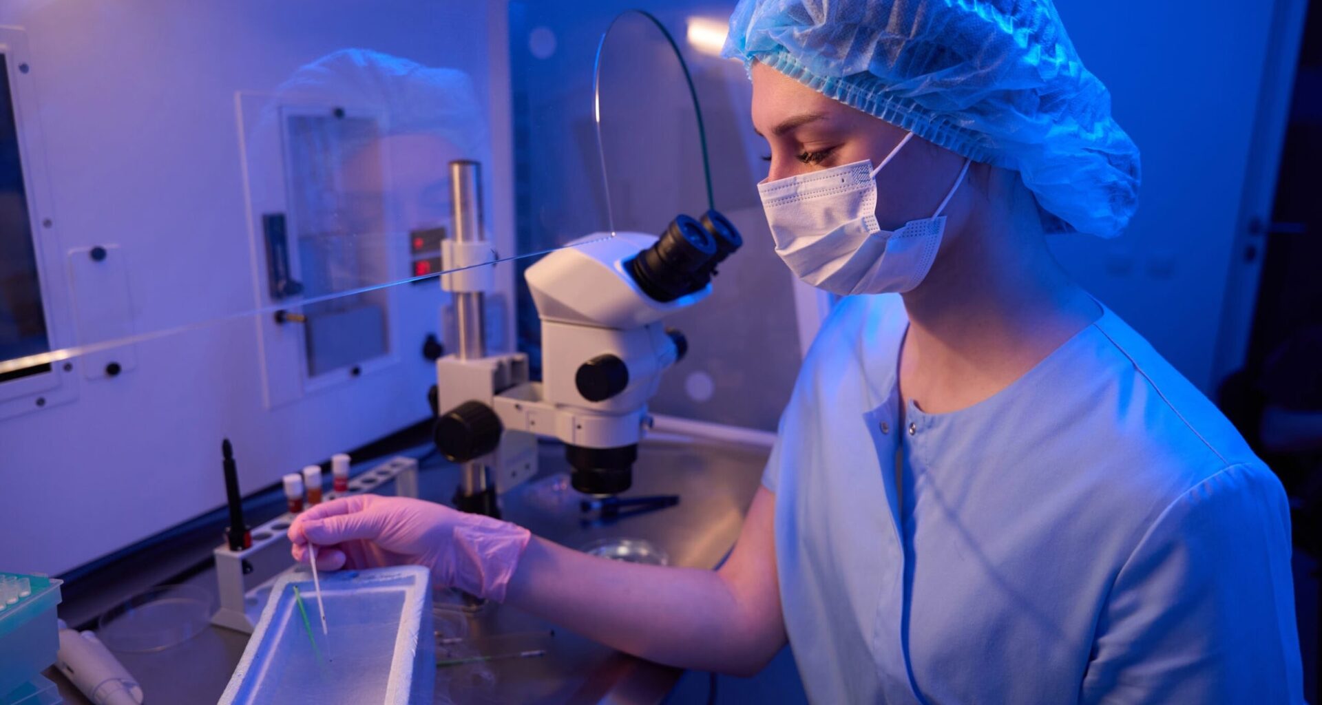 Male embryos grow faster: Breakthrough study reveals genetic reasons why