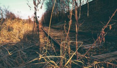Germany’s drive to revive disused rail lines branded ‘unstable, left to chance constellations’