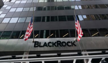 BlackRock, the world's largest asset manager, is based in New York. Pic: AP