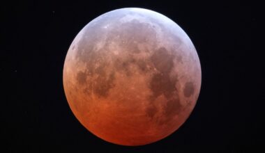 A blood moon seen in Hopkins, South Carolina in March. Pic: Reuters
