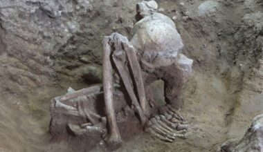 A 9,000-year-old mummy in Guangxi, China, in a squatting position. Pic: Hirofumi Matsumura / AP