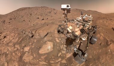 The Perseverance rover takes a selfie at Cheyava Falls. Pic: NASA/JPL-Caltech/MSSS