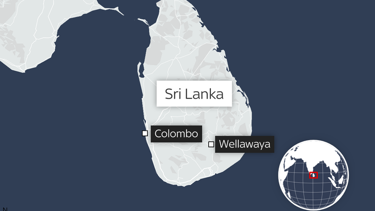 A map showing the town of Wellawaya, in Sri Lanka, where the bus crashed