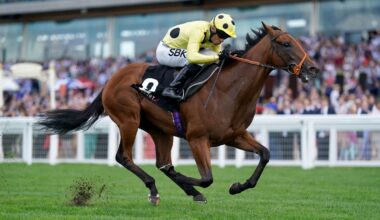 Rosallion and Sean Levey