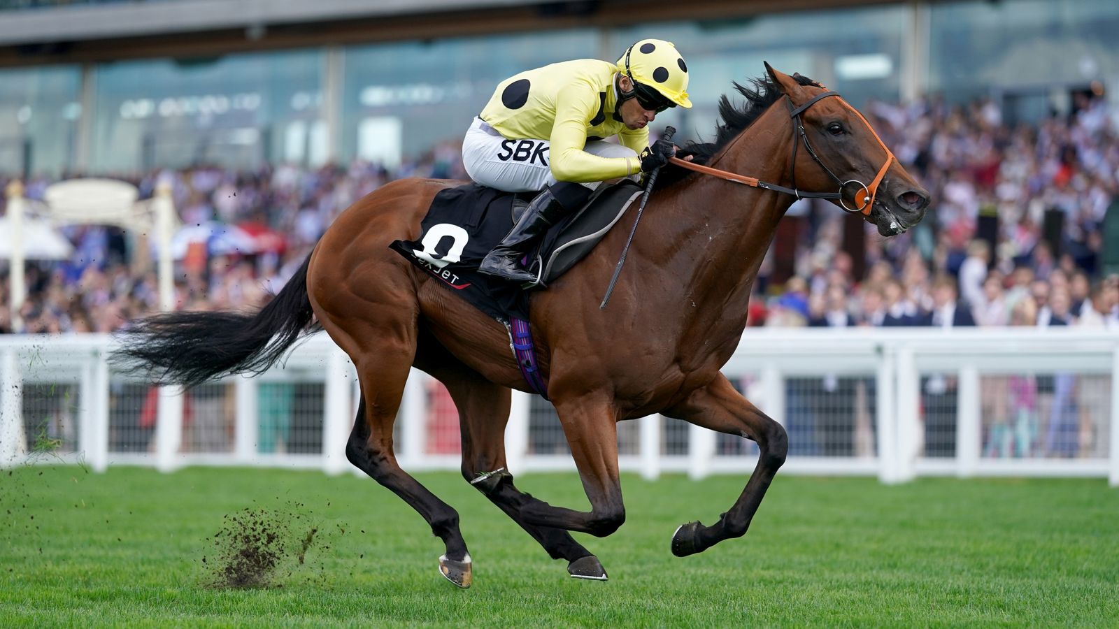 Rosallion and Sean Levey