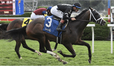 Snow Face Princess gets slight cutback in G3 Matron
