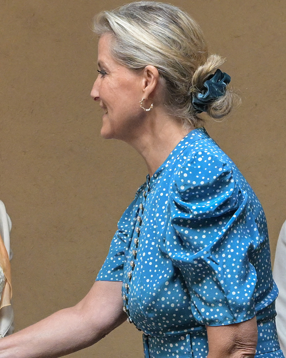 sophie duchess of edinburgh hair scrunchie