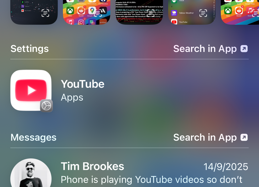 Spotlight search results for an app's settings.