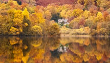 Best Autumn Photo Opportunities Around The UK