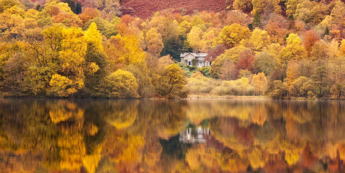 Best Autumn Photo Opportunities Around The UK