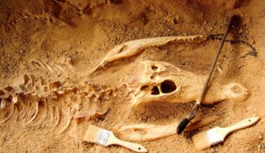 Terrifying Bone Disease Discovered In Giant Dinosaurs From Brazil