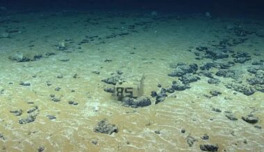 The largest ocean treasure ever discovered in Europe yields 45,000 tons a year
