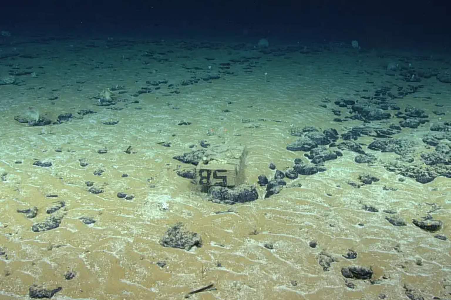 The largest ocean treasure ever discovered in Europe yields 45,000 tons a year