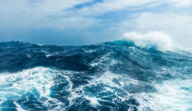 The World Has Five Oceans, Not Four - Discover The Latest One