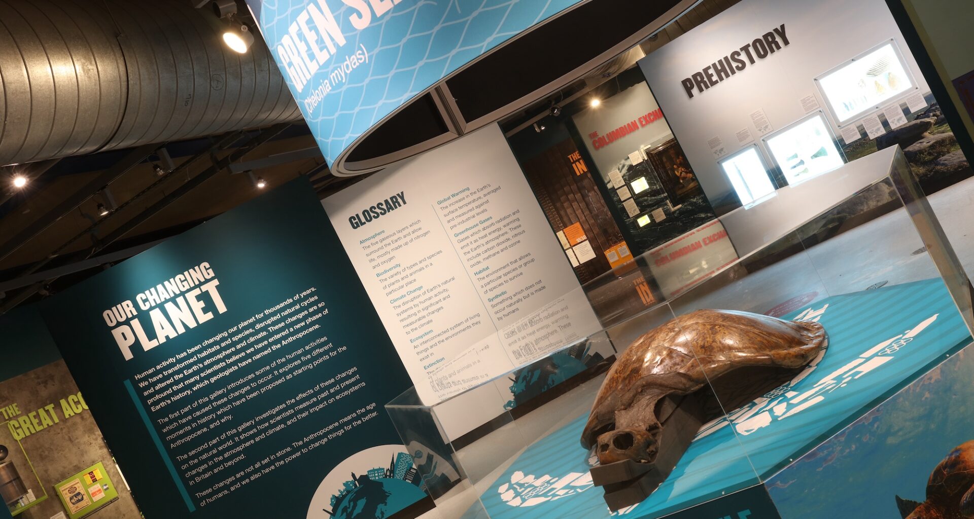Birmingham museums to accelerate sustainability goals