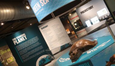 Birmingham museums to accelerate sustainability goals