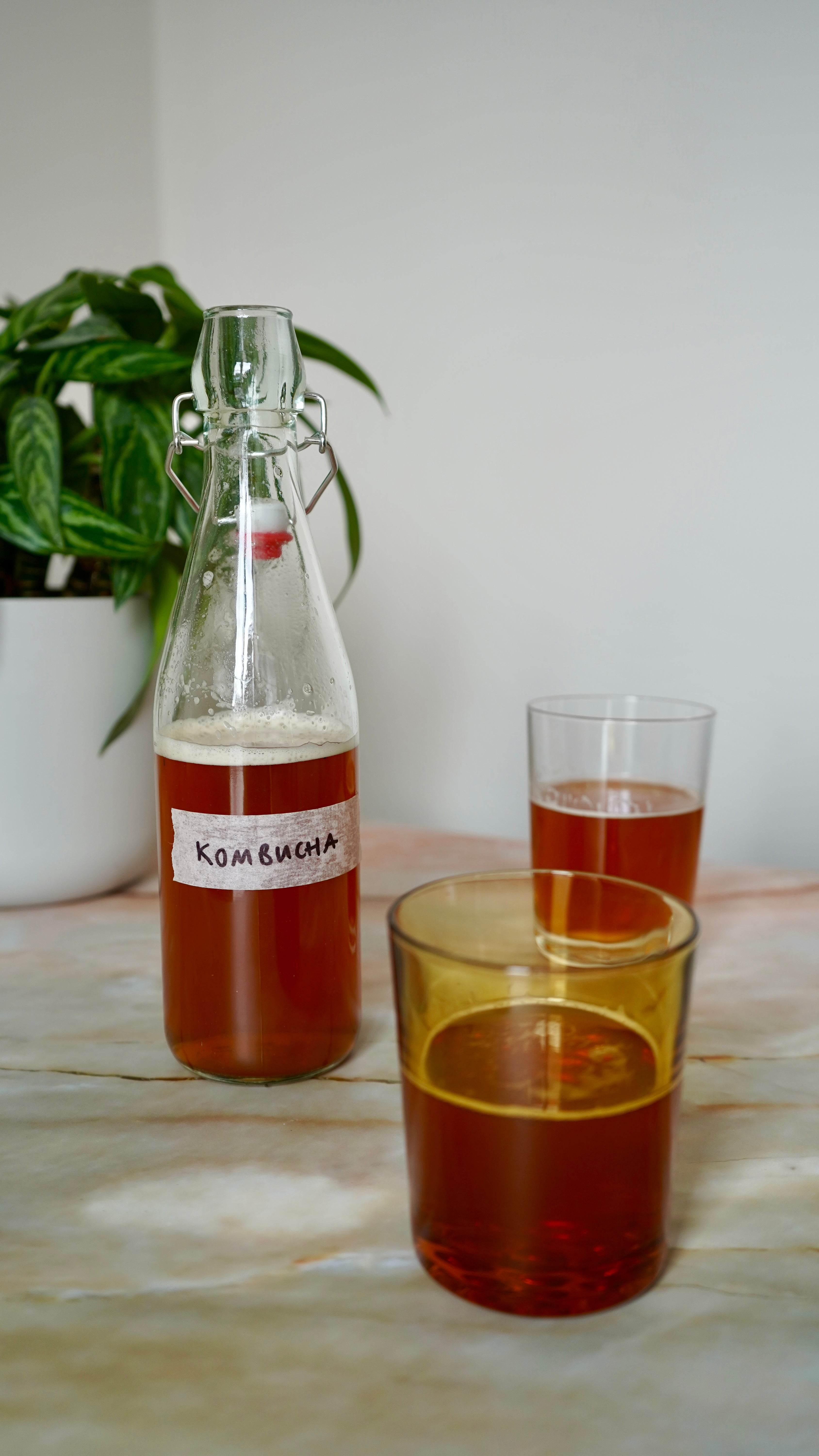 Tea turned tonic: kombucha is one of the simplest (and most explosive) ferments to brew at home