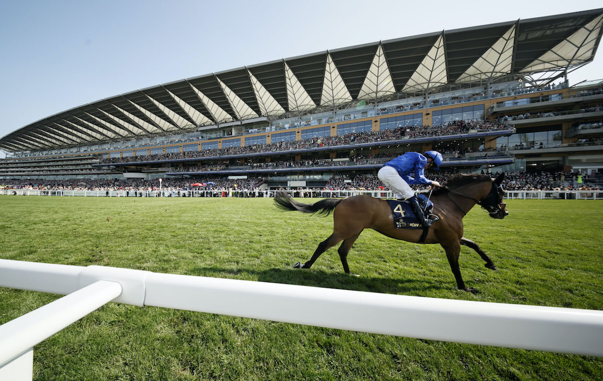 Gold standard: Trawlerman (William Buick) records a popular seven-length victory in this year’s Gold Cup in front of packed Ascot stands. Photo: Dan Abraham / focusonracing.com