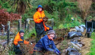 Media release 2 September 2025