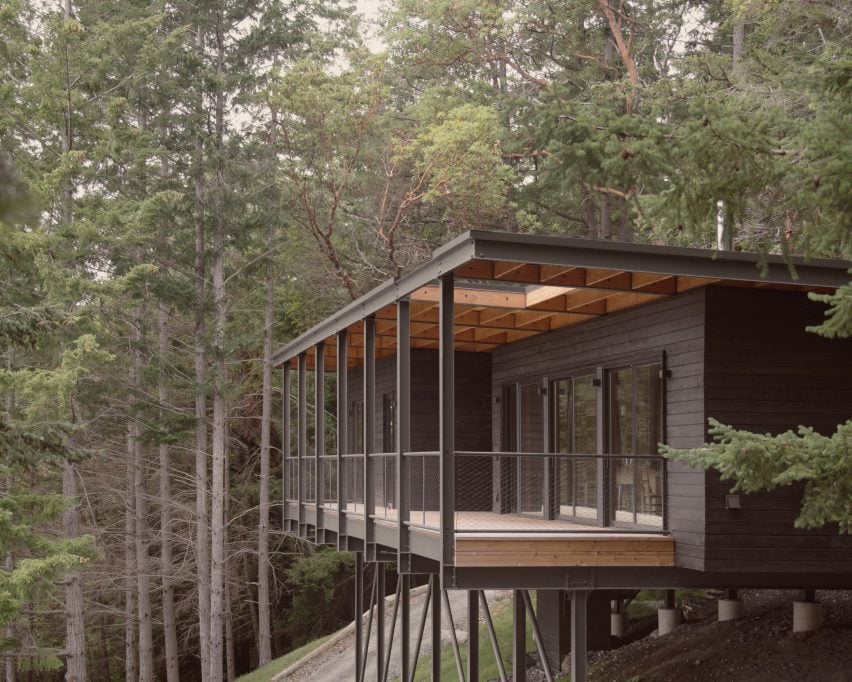 Black cabin in forest