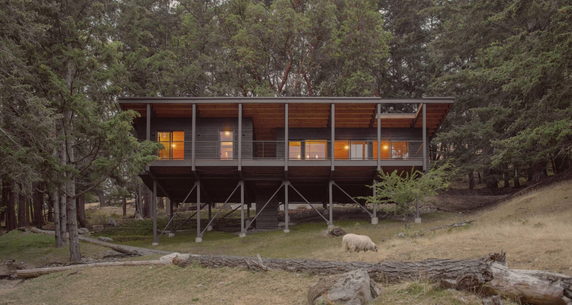 Cabin in woods