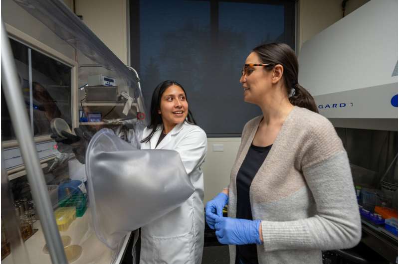 Two-drug combination shows promise in helping heal chronic wounds