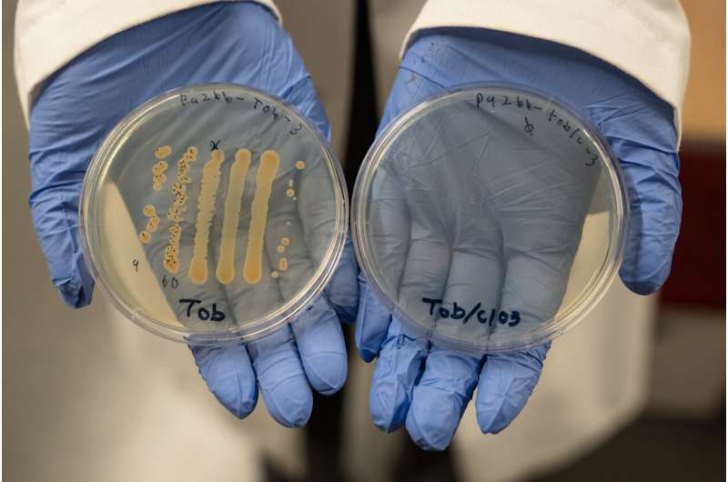 Two-drug combination shows promise in helping heal chronic wounds