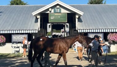 What a Year! Keeneland Yearling sale breaking records