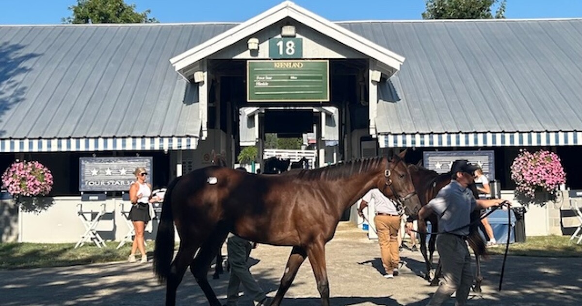 What a Year! Keeneland Yearling sale breaking records