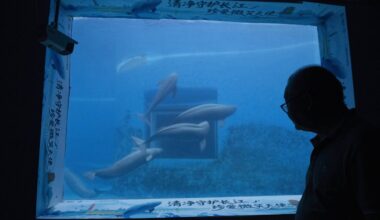 Photos show scientists breeding rare and endangered animals in China’s longest river