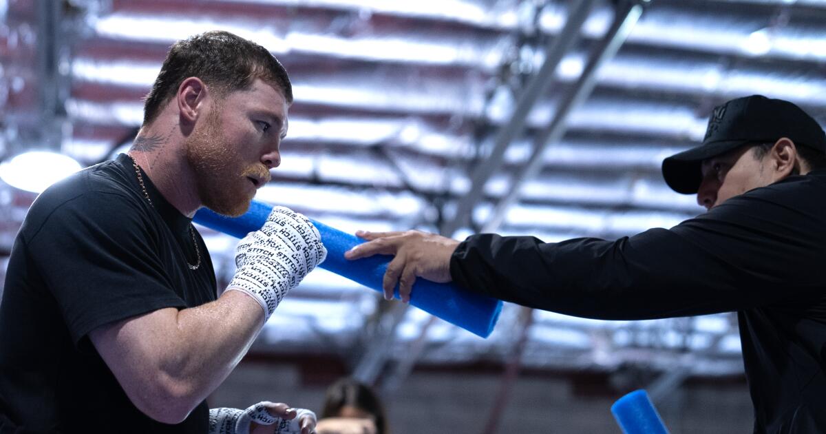 Saul 'Canelo' Alvarez reflects on 20 years of boxing dominance