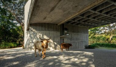 W House II by IDIN Architects