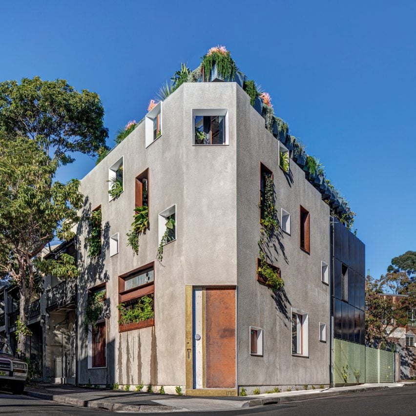 Welcome to the Jungle House renovation in Sydney, Australia, by CplusC Architectural Workshop