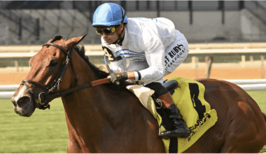 Whiskey Decision rallies to win Listed Athenia