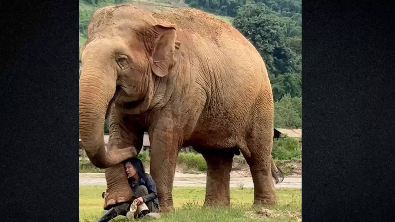 Wholesome moment
