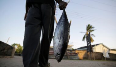 Long-wrought WTO global agreement aimed at reducing overfishing takes effect