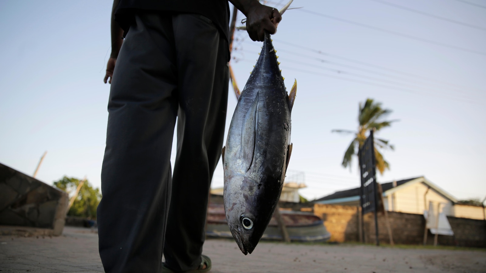Long-wrought WTO global agreement aimed at reducing overfishing takes effect