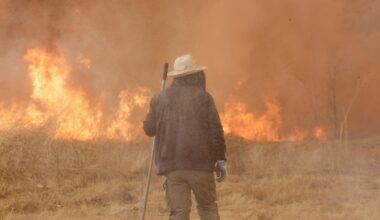 Climate change made Iberian wildfires 40 times more likely, study finds
