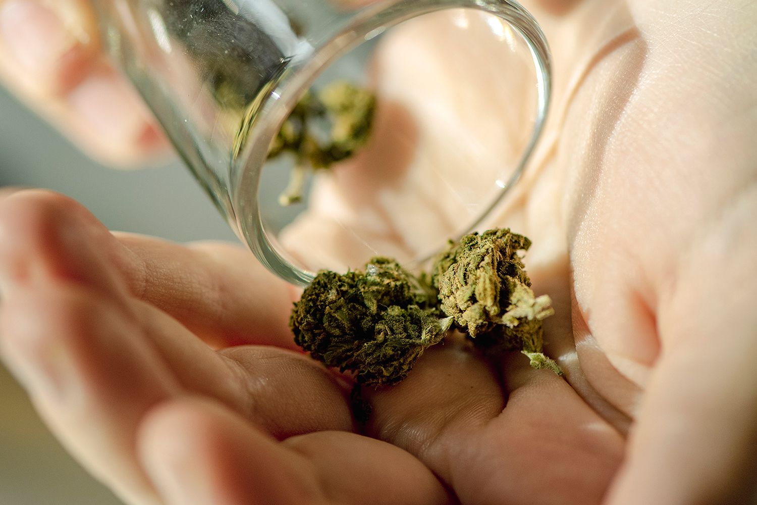 Women Who Use Marijuana May Have Higher Risk of Miscarriage, Study Finds